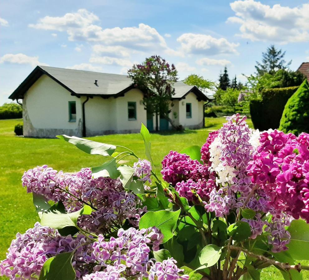 Pension Landhaus Teichgraf Wolgast Extérieur photo